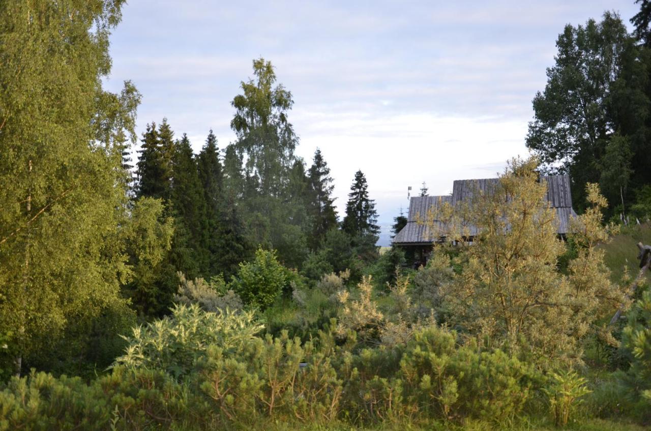 Mountain chalet SmoLenisko domek w górach Nowy Targ Exterior foto